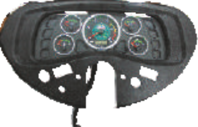SITL- 1196 CLUSTER O/M 10024632